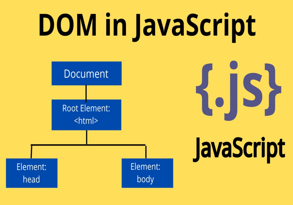 Functions & the DOM in JavaScript