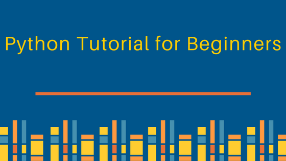 Python Basics for Beginners